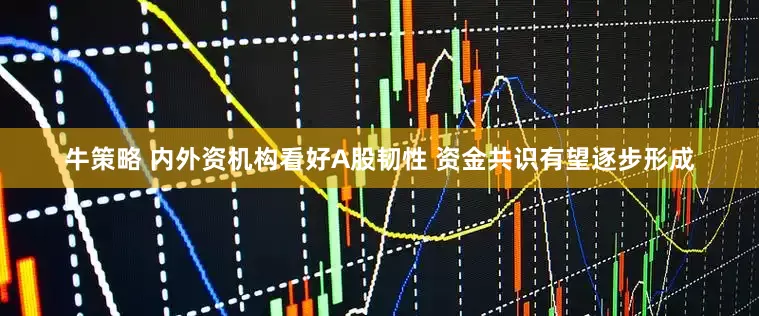 牛策略 内外资机构看好A股韧性 资金共识有望逐步形成