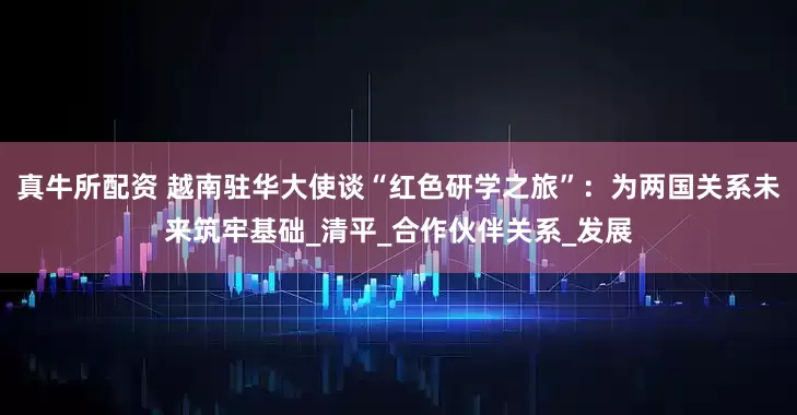 真牛所配资 越南驻华大使谈“红色研学之旅”：为两国关系未来筑牢基础_清平_合作伙伴关系_发展