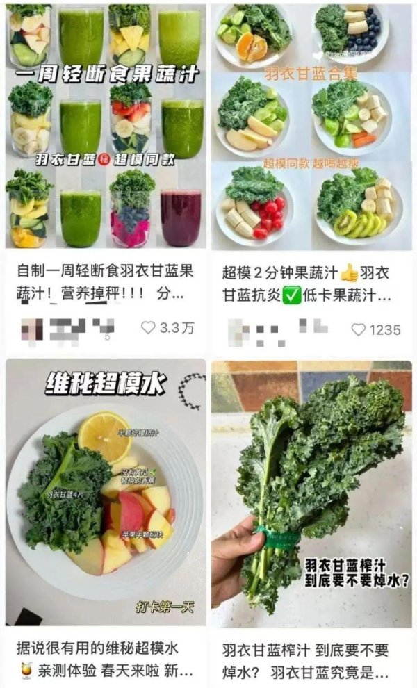 信捷策路 “羊都不吃”的羽衣甘蓝爆火：当健康焦虑正中资本下怀