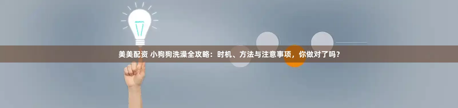 美美配资 小狗狗洗澡全攻略：时机、方法与注意事项，你做对了吗？
