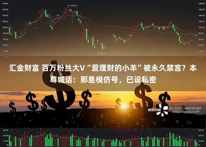 汇金财富 百万粉丝大V“爱理财的小羊”被永久禁言？本尊喊话：那是模仿号，已设私密