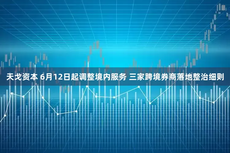 天戈资本 6月12日起调整境内服务 三家跨境券商落地整治细则